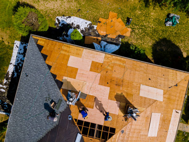 Best Metal Roofing Contractor  in Breese, IL