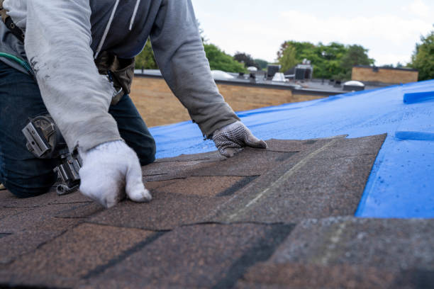 Best Storm Damage Roof Repair  in Breese, IL