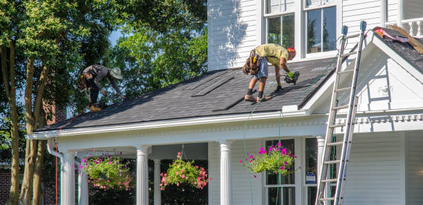 Roof Gutter Cleaning in Breese, IL